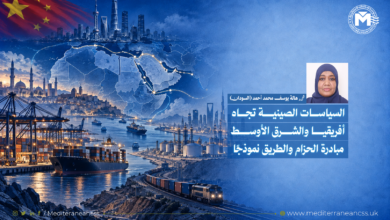 السياسات الصينية تجاه أفريقيا